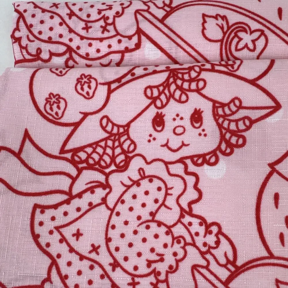 Strawberry Shortcake 13 Piece Shower Curtain Set 12 Metal Hooks 72